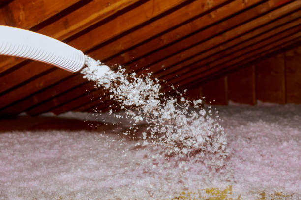Best Professional Insulation Contractor  in West Ishpeng, MI